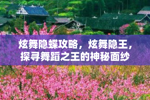 炫舞隐蝶攻略，炫舞隐王，探寻舞蹈之王的神秘面纱