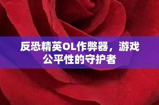 反恐精英OL作弊器图片