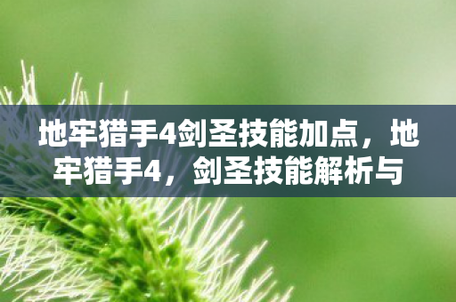 地牢猎手4剑圣技能加点图片