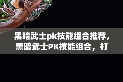 黑暗武士pk技能组合推荐图片