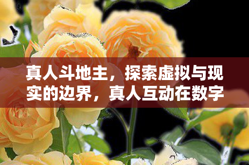 真人互动在数字时代的演变图片