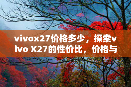 探索vivo X27的性价比图片