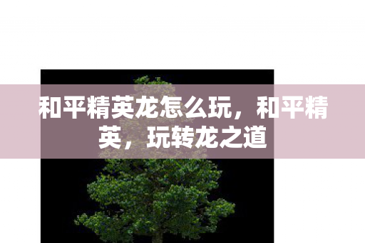 和平精英龙怎么玩图片