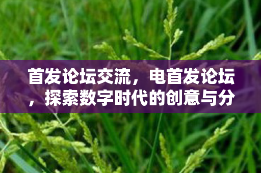 探索数字时代的创意与分享图片