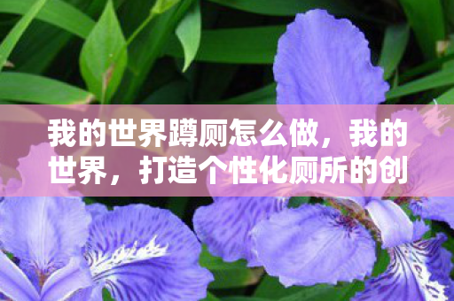 打造个性化厕所的创意指南图片