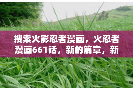 火忍者漫画661话图片