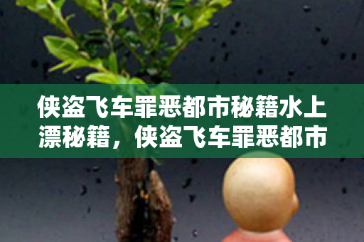 侠盗飞车罪恶都市秘籍水上漂秘籍图片