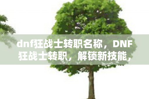 dnf狂战士转职名称图片
