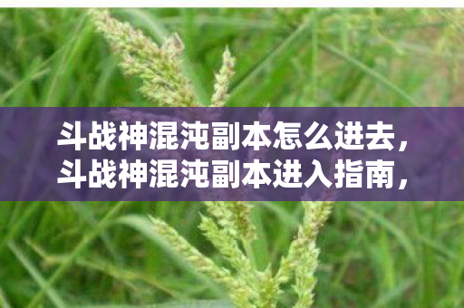 斗战神混沌副本怎么进去图片