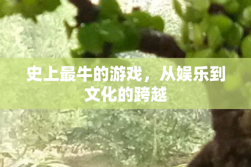 从娱乐到文化的跨越图片