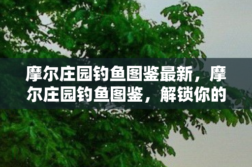 摩尔庄园钓鱼图鉴最新图片