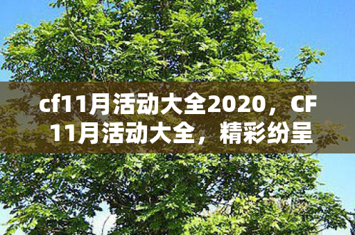 cf11月活动大全2020图片