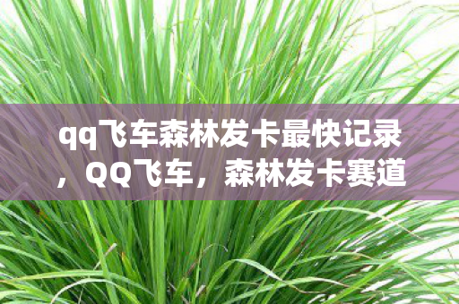qq飞车森林发卡最快记录图片
