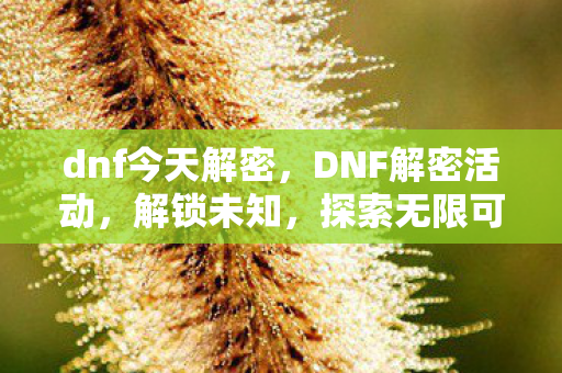 dnf今天解密图片