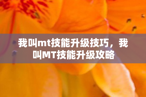 我叫mt技能升级技巧图片