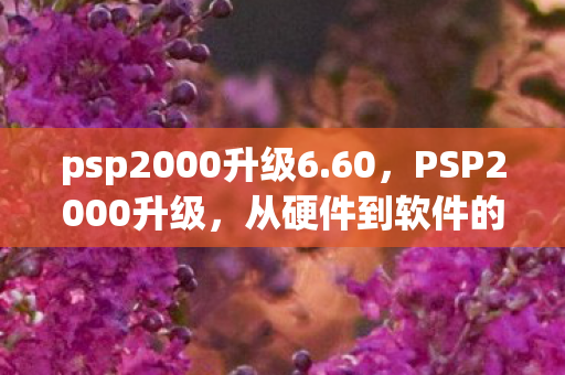 从硬件到软件的全面进化图片