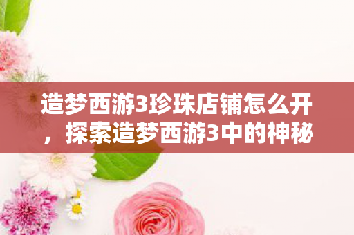 探索造梦西游3中的神秘珍珠商店图片