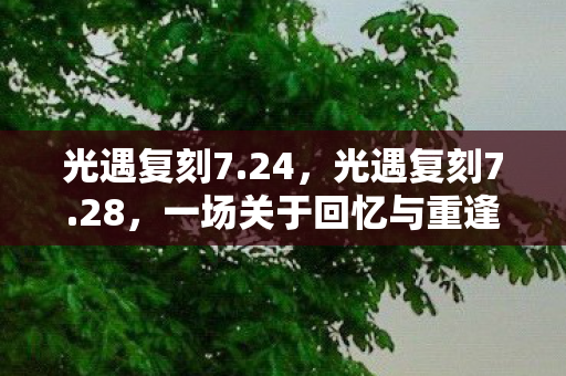 一场关于回忆与重逢的旅行图片