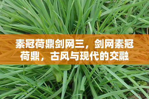 古风与现代的交融图片