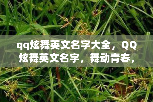 qq炫舞英文名字大全，QQ炫舞英文名字，舞动青春，展现个性风采
