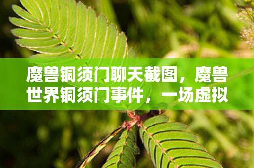 一场虚拟世界的道德风暴图片