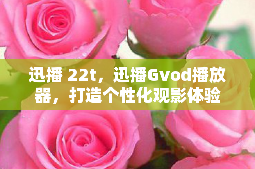 迅播Gvod播放器图片