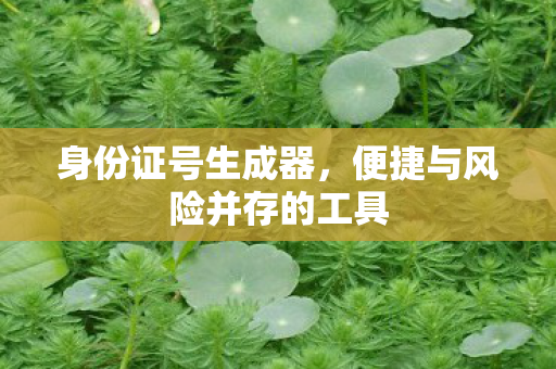 便捷与风险并存的工具图片