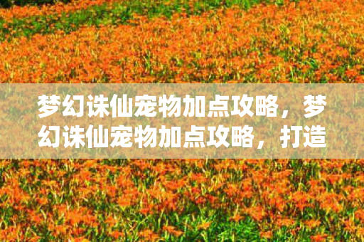 梦幻诛仙宠物加点攻略图片