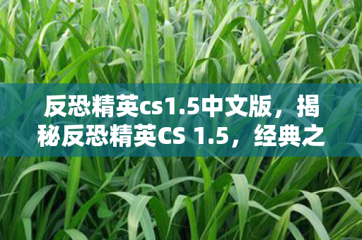 反恐精英cs1.5中文版，揭秘反恐精英CS 1.5，经典之作的背后故事