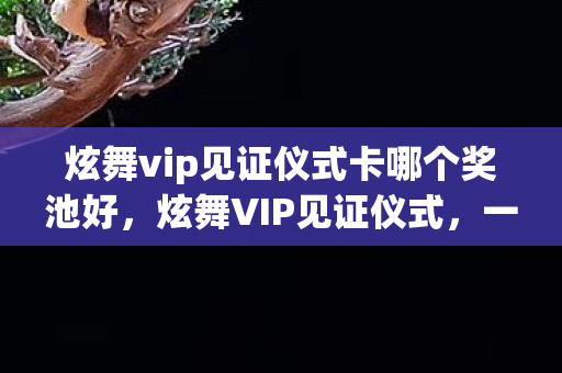 炫舞vip见证仪式卡哪个奖池好，炫舞VIP见证仪式，一场舞动荣耀的盛典