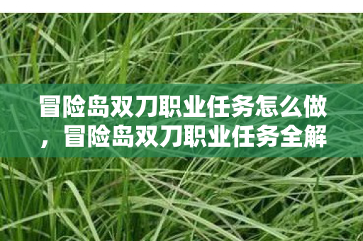 冒险岛双刀职业任务怎么做图片