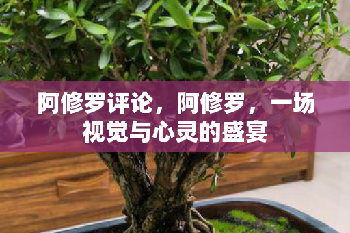 一场视觉与心灵的盛宴图片