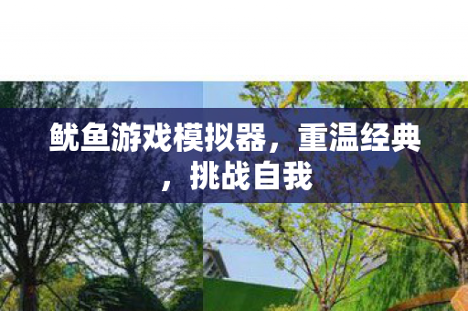 鱿鱼游戏模拟器图片