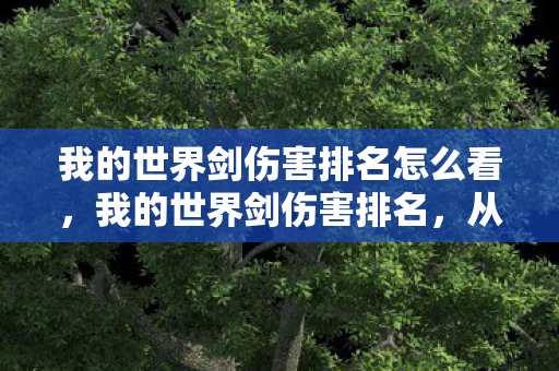 我的世界剑伤害排名怎么看图片