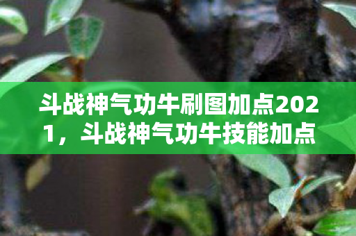 斗战神气功牛刷图加点2021图片