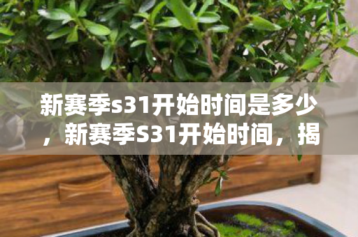 新赛季s31开始时间是多少图片
