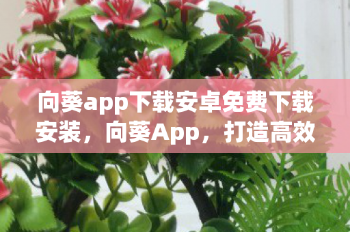 向葵app下载安卓免费下载安装图片