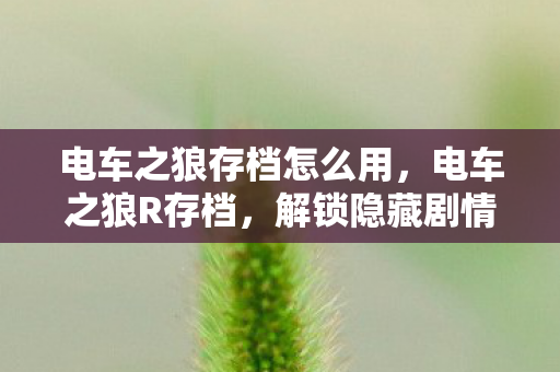 解锁隐藏剧情与角色互动图片