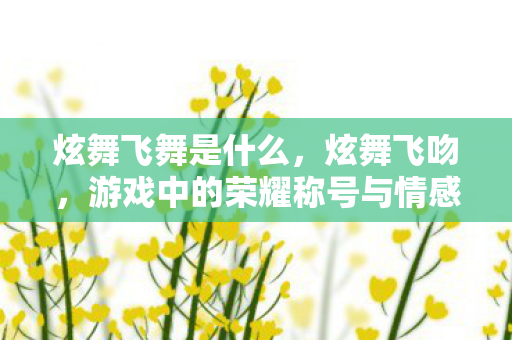 炫舞飞舞是什么，炫舞飞吻，游戏中的荣耀称号与情感共鸣