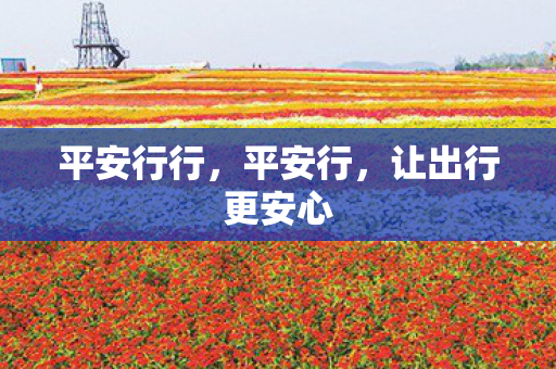 让出行更安心图片