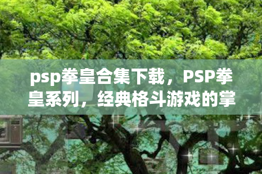 经典格斗游戏的掌中再现图片