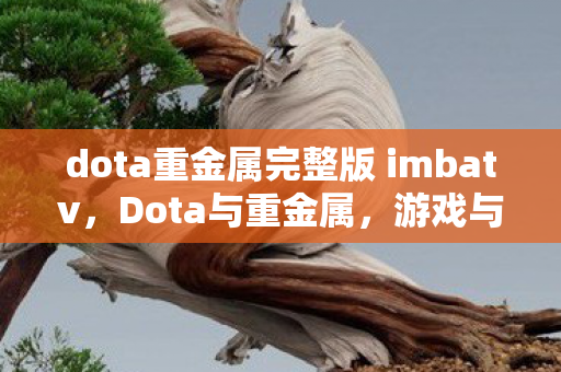 dota重金属完整版 imbatv图片
