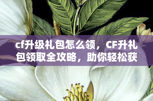 CF升礼包领取全攻略图片