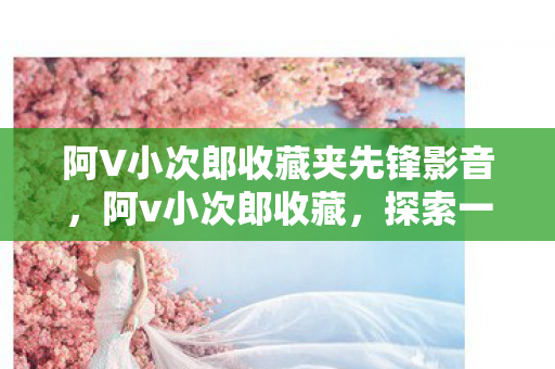 阿V小次郎收藏夹先锋影音图片
