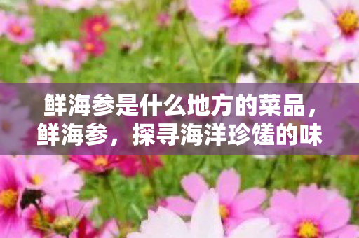 鲜海参是什么地方的菜品图片