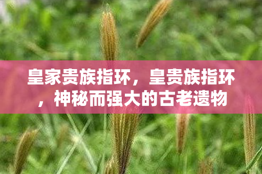 神秘而强大的古老遗物图片