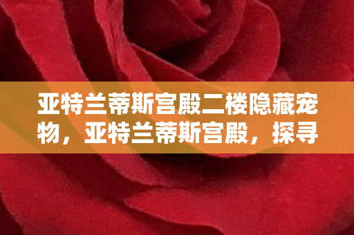 亚特兰蒂斯宫殿二楼隐藏宠物图片