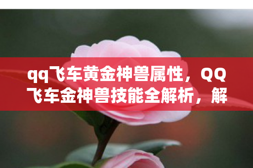 QQ飞车金神兽技能全解析图片