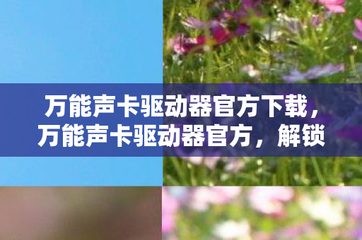 万能声卡驱动器官方下载图片