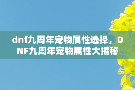 DNF九周年宠物属性大揭秘图片